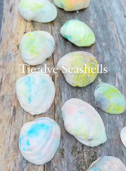 Beach craft for family beach vacations