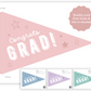 Congrats Grad Pennant Flag